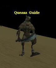 Queasa Guide